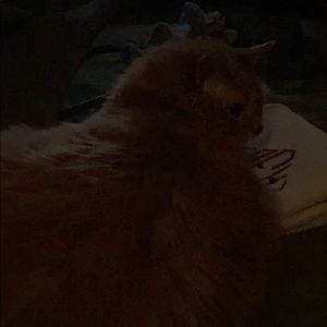 Meet your Posher, Richard